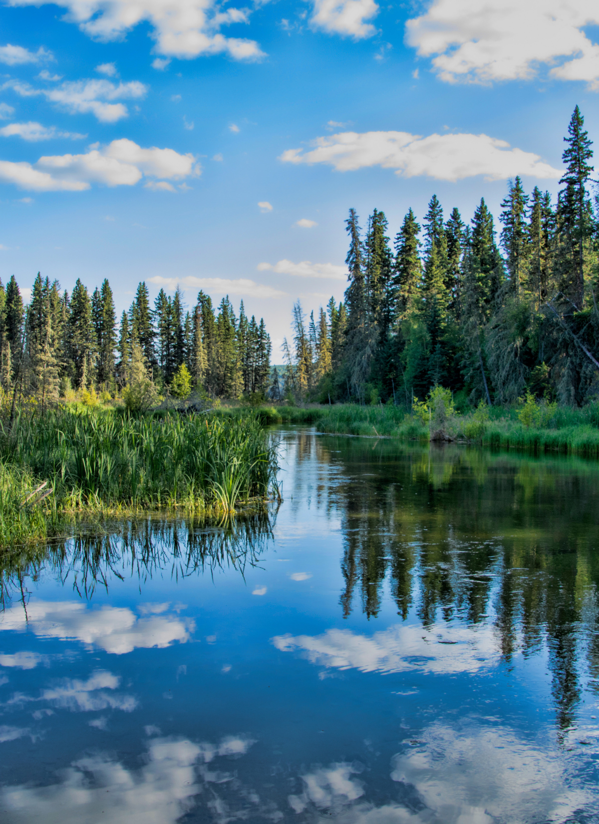 Enviornmental Services