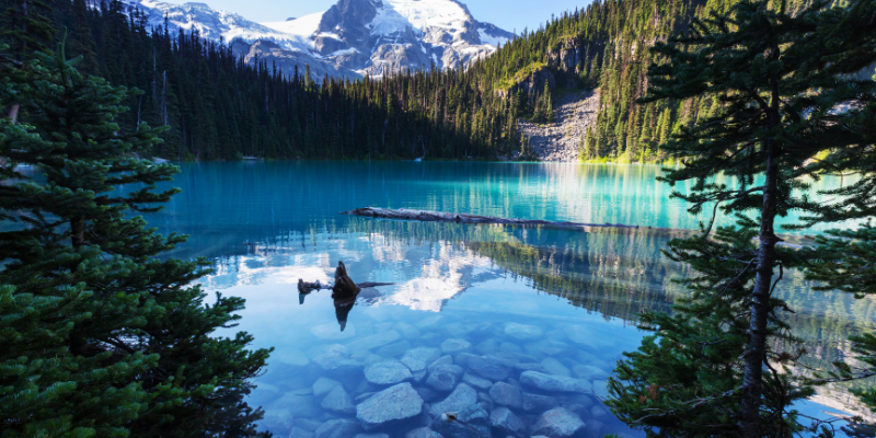 British Columbia’s Hazardous Materials Laws